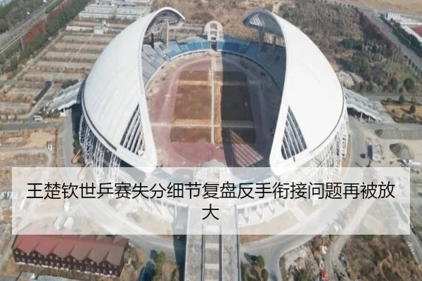 王楚钦世乒赛失分细节复盘反手衔接问题再被放大